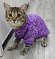 Джемпер для котов (кошек) Classic XL Фиолетовый - изображение 7