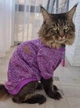 Джемпер для котов (кошек) Classic XL Фиолетовый - изображение 9