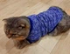 Джемпер для котов (кошек) Classic M Синий - изображение 9