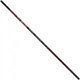 Вудлище Brain Classic Strong 5.00m 10-30g (1858.54.85) (278219) - зображення 1