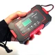 Зарядное устройство RJTianye для акумуляторов 12V RJ-C120501A - изображение 4