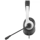 Наушники A4Tech FH100U Panda (4711421977043) - изображение 2