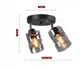 Декоративная люстра Sirius S4944-2 BK+SM с поворотным механизмом - изображение 6