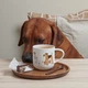 Чашка порцелянова Asa Selection Coppa Cats & Dogs 400 мл 19444014 - зображення 3
