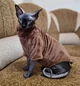 Флисовая кофта для котов (кошек) Бархат S Коричневый - изображение 5