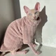 Флисовая кофта для котов (кошек) Фараон 2XL Персиковый - изображение 4