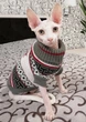Свитер для котов (кошек) Канада XL Серый - изображение 9