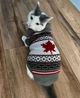 Свитер для котов (кошек) Канада XL Серый - изображение 12