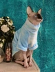 Флисовая кофта для котов (кошек) Бархат S Голубой - изображение 4