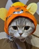 Толстовка для котов (кошек) Карнавал Тигр M Оранжевый - изображение 6