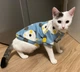 Толстовка для котов (кошек) Лаки Зайчик M Голубой - изображение 6