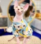 Толстовка для котов (кошек) Лаки Зайчик M Голубой - изображение 9