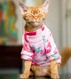 Толстовка для котов (кошек) Лаки Клубника S Розовый - изображение 1