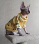 Кофта для котов (кошек) Лаки Африка XS Желтый - изображение 6