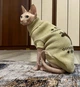 Свитер для котов (кошек) Лось M Бежевый - изображение 7