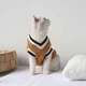 Свитер для котов (кошек) Бостон S Горчичный - изображение 7