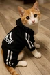 Спортивный костюм для котов (кошек) Adidog XS Черный - изображение 6