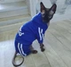 Спортивный костюм для котов (кошек) Adidog S Синий - изображение 6