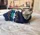 Свитер для котов (кошек) Звезды M Синий - изображение 8