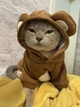 Толстовка для котов (кошек) Медвежонок L Коричневый - изображение 4