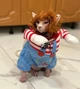 Костюм для котов (кошек) Чаки XS Разноцветный - изображение 6