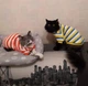 Флісова кофта для котів (кішок) Смужечка 2XL Жовто-блакитний - зображення 10
