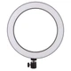 Кільцева світлодіодна LED лампа Flat Ring 8' Black - изображение 1