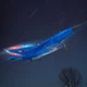 Літак на радіокеруванні SCHE HW32 F22 Fighter Blue (79436) - изображение 6