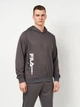 Худи мужское Fila FAM1123-80015 L Темно-серое (4067777246273) - изображение 1