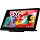 Графический монитор Huion Kamvas 20 Black [103177] - изображение 2