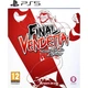 Игра Final Vendetta Collector’s Edition для PS5 (EN) [129128] - изображение 1