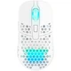Мышь Xtrfy M42 RGB Wireless White (M42W-RGB-WHITE) [131191] - изображение 1