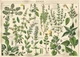 Пазлы трехслойные Interdruk Vintage Nature 1 48х67 см 1000 шт (385062) (5902277385062) - изображение 2