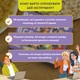 Розмовна гра для компанії Orner Розкажи мені все! Office edition для вечірок українською мовою 16+ 150 карток (9F29A45174F7) - зображення 5