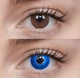 Синие контактные линзы - Блу Аква 2шт. от ELITE Lens - изображение 4