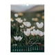 Календарь настенный 2026 Buromax А3 на 1 пружину Wild flowers (BM.210605) - изображение 11