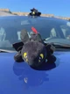 Мягкая игрушка Беззубик на машину плюшевый декоративный дракон на самоклейке 28 см чёрный (9136) - изображение 1