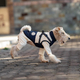 Зимняя куртка для собак V.PET.B.R. Luxury Dog Jacket C519 Black&Cream, S - изображение 7
