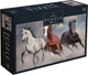 Пазли Interdruk Horses 1 тришарові 1000 деталей (384966) - зображення 1