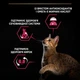 Purina Pro Plan Sterilised Duck для стерилизованных кошек, с уткой и с печенью, 10 кг - изображение 5