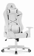Геймерське крісло Hell's Chair HC-2001 White Black - изображение 1