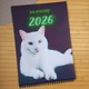 Календарь настенный перекидной Белые коты 2026 А4 (18744) - изображение 1