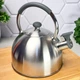 Чайник со свистком нержавеющая сталь 2.5 л Ringel Grey Line RG-1010 - изображение 1