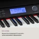 Электрическое пианино Schubert Subi 88 Harmony (10035596) - изображение 2