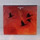 Stellar Descent - ...fading... CD 00-00010960 - изображение 2