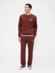 Свитшот на флисе мужской GAP 870347942 XL Коричневый (1159847159) - изображение 3