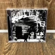 Northern - Cabin Fever CD 00-00011815 - изображение 1