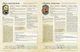 Настільна гра Geekach - Root RPG - Бертрамова Бухта. Швидкий старт Коріння НРГ - зображення 3