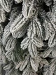 Искусственная литая заснеженная елка Роял высотой 2.4 м роскошная пышная новогодняя елка с густыми ветвями и складной металлической подставкой Зеленый - изображение 3
