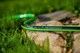 Садовый шланг Cellfast Green ATS2 1/2" пятислойный армированный ПВХ‑шланг 20 м с двойным крестово‑трикотажным плетением - изображение 3